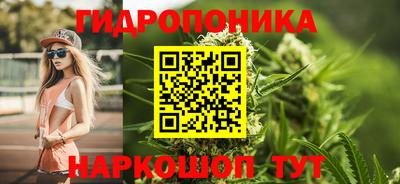 соль ск Кулебаки