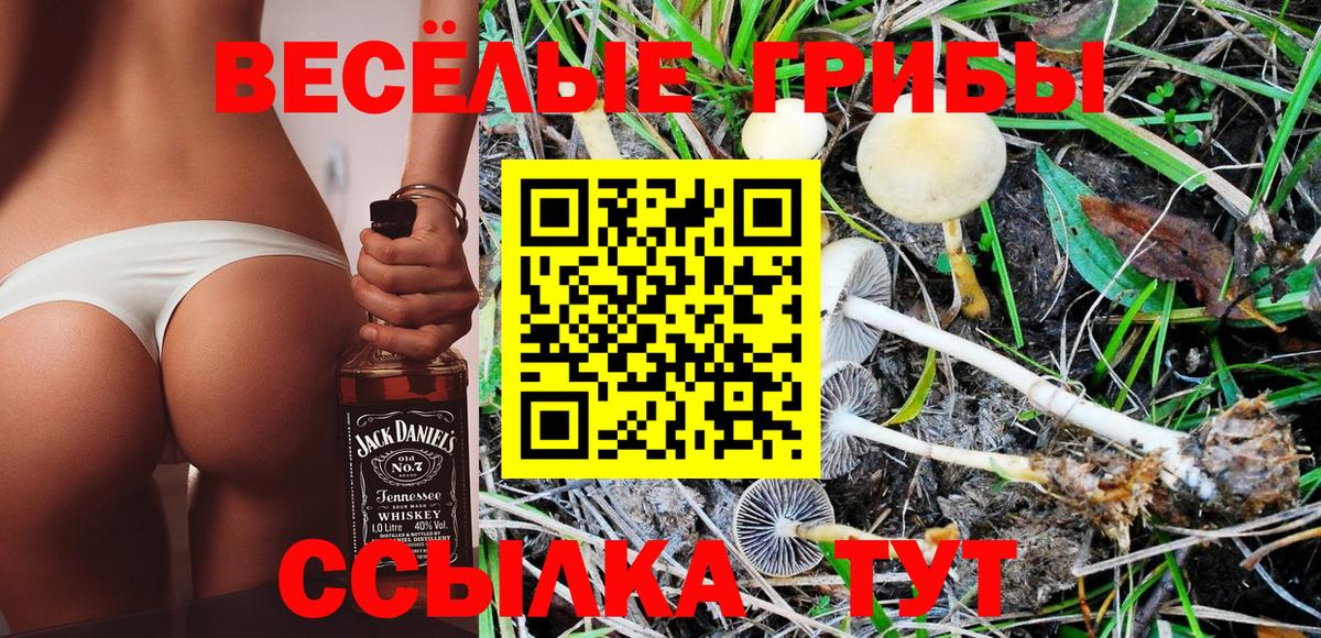 Галлюциногенные грибы мухоморы  Псилоцибиновые грибы Psilocybine cubensis  Камень-на-Оби  Вход с VPN 