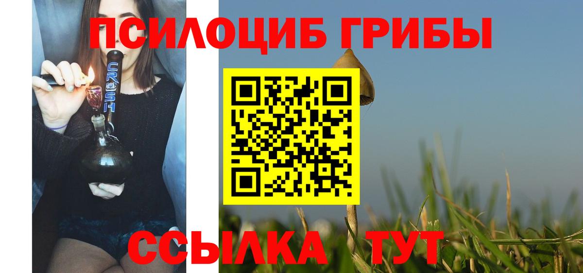 Галлюциногенные грибы Psilocybine cubensis Камень-на-Оби